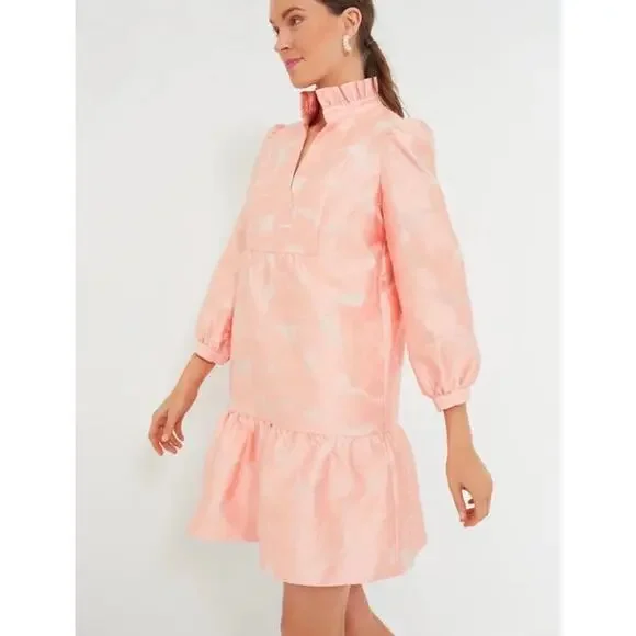 TUCKERNUCK Bellini Fil Coupe Palmerston Dress NWT Size XS